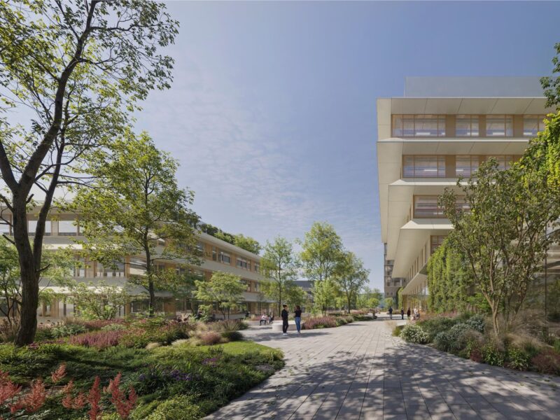 idealice-rendering ISTA LAB 8