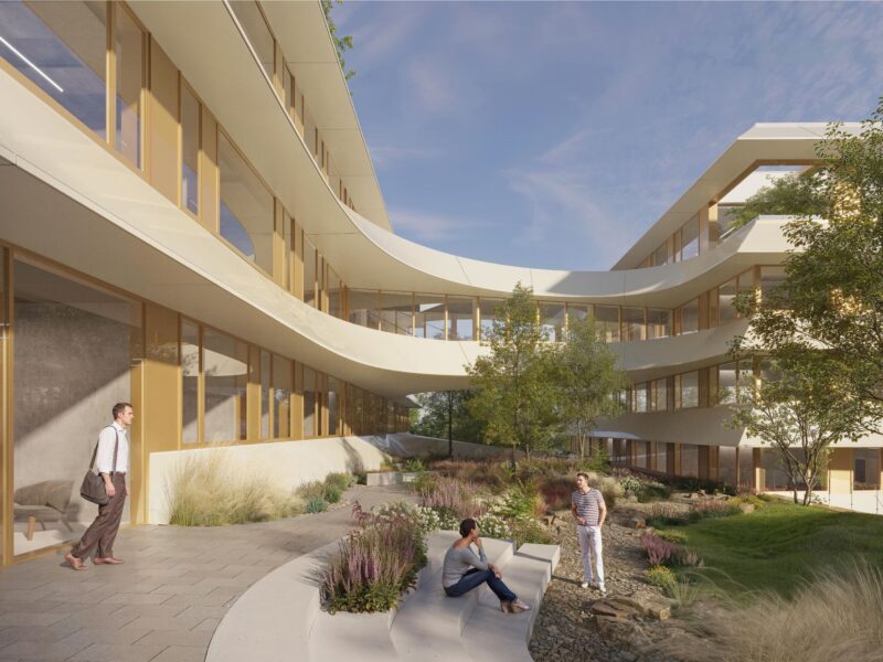 idealice-rendering sukkzessionspark ISTA LAB 8